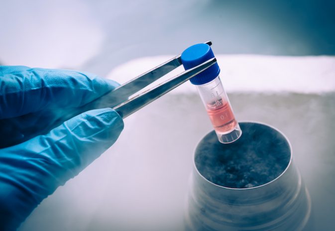 Подробнее о статье Stem cells in UAE and Europe
